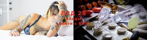 мяу мяу мука Весьегонск