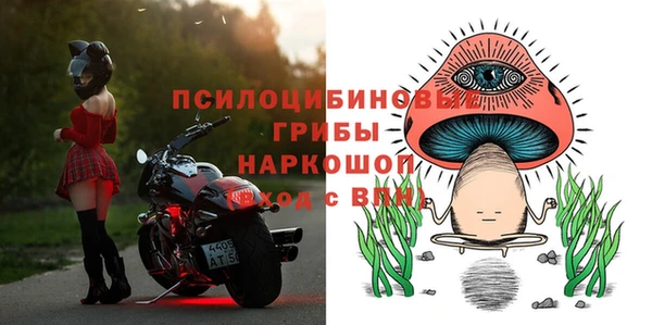 каннабис Туринск