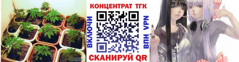 ТГК жижа  Спас-Клепики 
